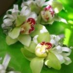green cymbidium orchid corsages