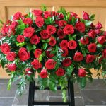 elegant red roses
