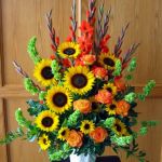sunflower celebration
