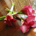 pink mini calla lily bridesmaids bouquets