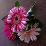 pink gerbera daisy bridesmaid bouquet