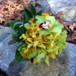 yellow orchid bridal bouquet